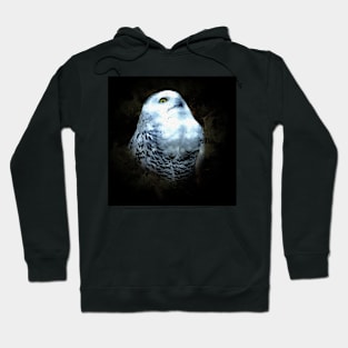 Snowy owl Hoodie